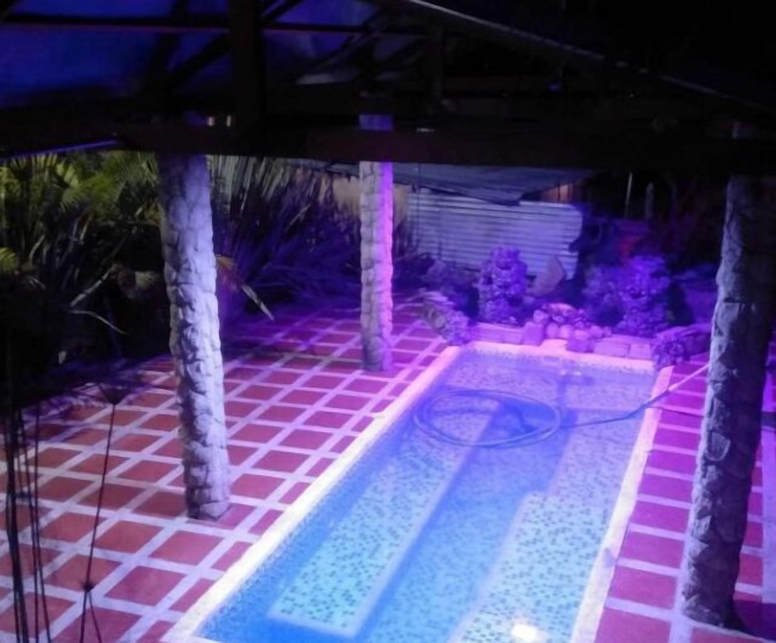 A swimming pool with a tiled deck, surrounded by plants and under a structure with a roof.