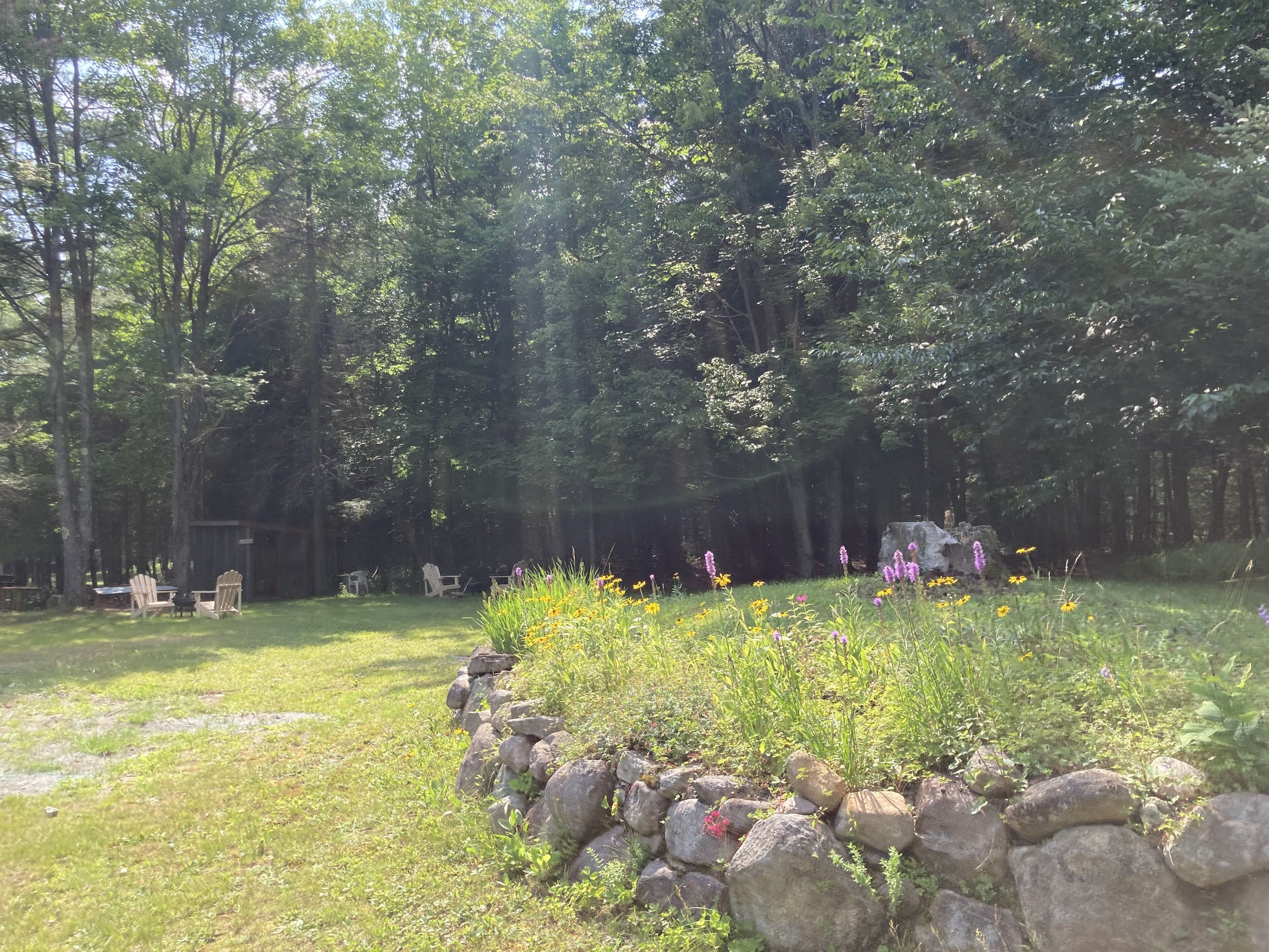 Un área boscosa con un muro de piedra y una mesa de picnic.