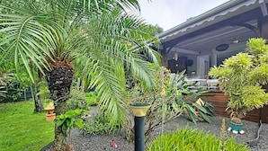 A well-maintained garden with a variety of plants, including a palm tree and aloe vera, in front of a house with a covered porch. - Creole charm with modern comforts (Sainte-Anne)