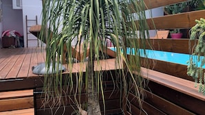A wooden deck with a small palm tree, a pool, and a wooden fence. - Creole charm with modern comforts (Sainte-Anne)