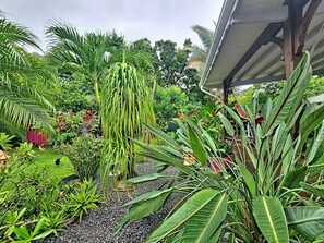 Property grounds - Creole charm and modern comfort (Sainte-Anne)