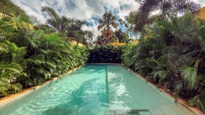 Une piscine entourée d’une végétation tropicale luxuriante.