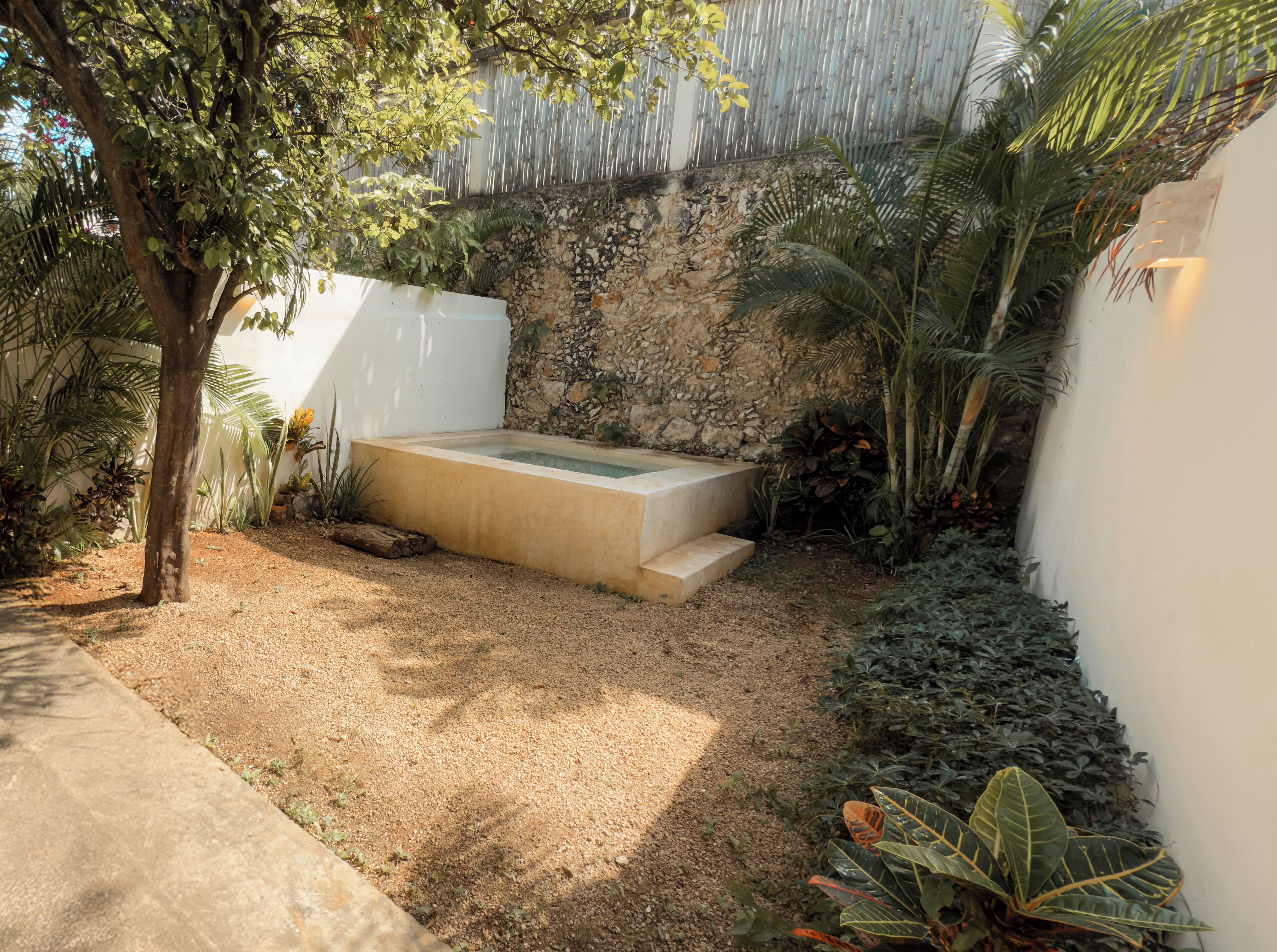 A small outdoor area with a concrete bench, a stone wall, and various plants.