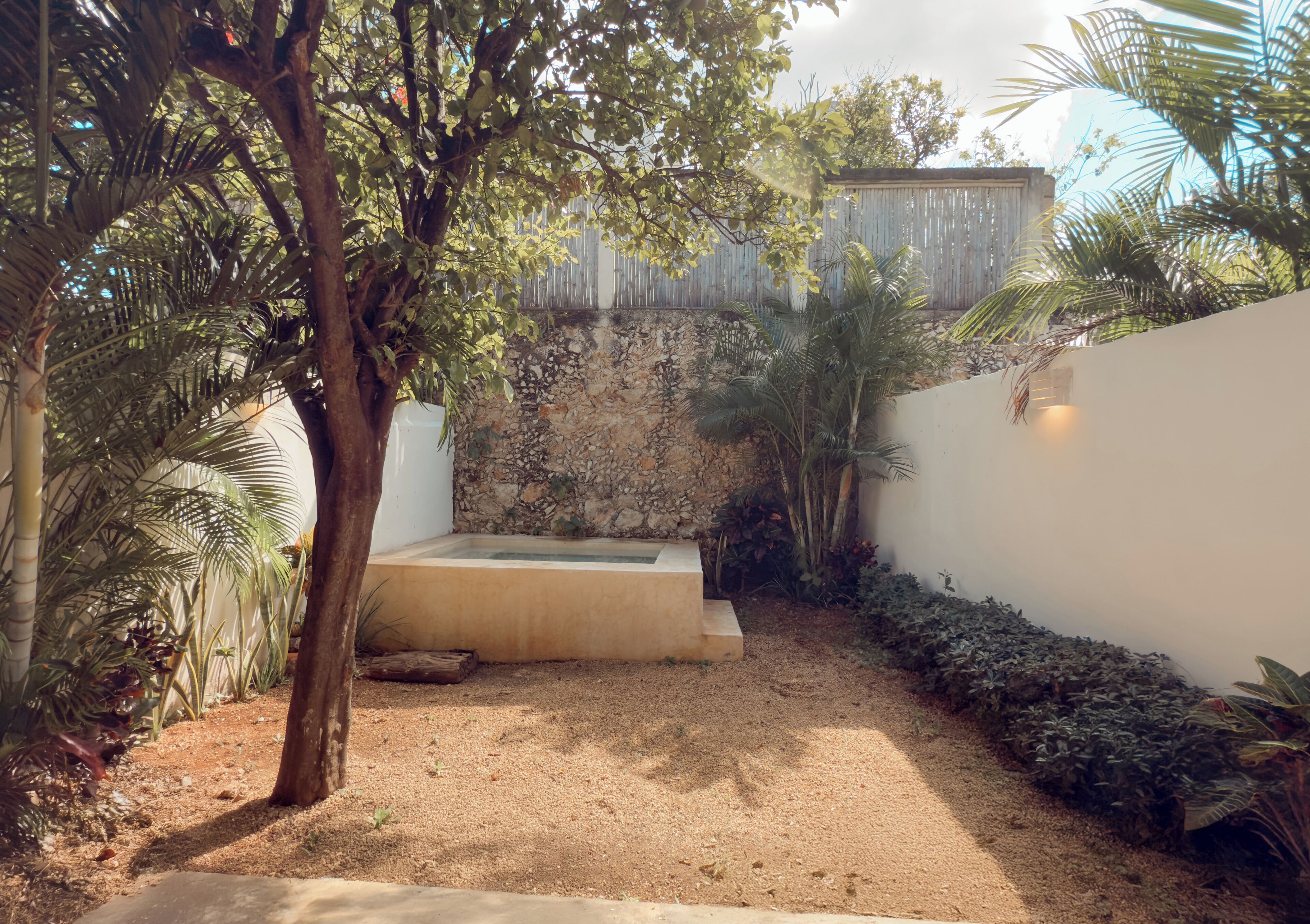 A garden with a concrete planter, a tree, and various plants.