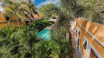 Outdoor pool, open 10:00 AM to 9:00 PM, pool loungers