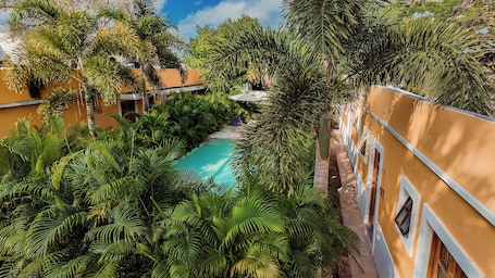 Outdoor pool, open 10:00 AM to 9:00 PM, sun loungers