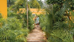 Un sentier bordé d’une végétation luxuriante mène à un bâtiment à la façade jaune.