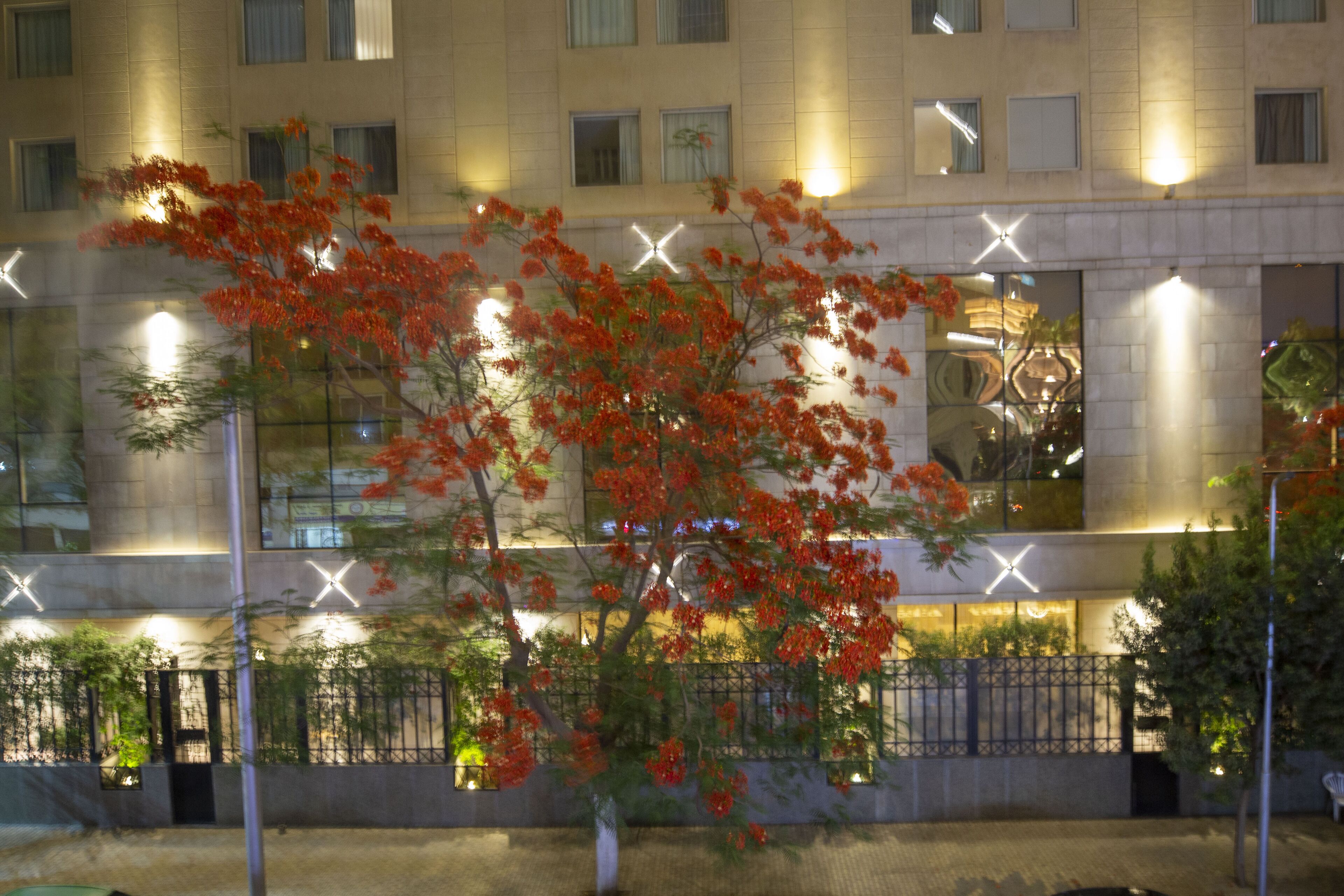 Foto - Museum Plaza