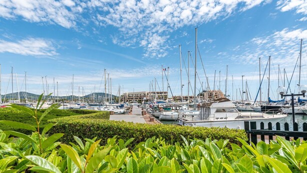 A marina with numerous boats docked, a building in the background, and lush greenery in the foreground. - Beautiful apartment for 4 people with WIFI, TV and patio (Cogolin)