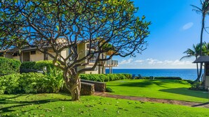 Une pelouse verdoyante et luxuriante, avec un grand arbre au premier plan, un espace piscine avec des chaises longues, et une vue sur l’océan.
