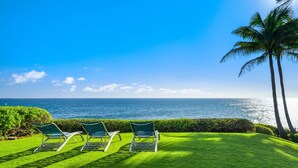 Une zone herbeuse avec trois chaises longues donnant sur une étendue d’eau, des palmiers et un ciel dégagé.