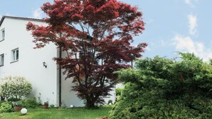 A building with a white exterior, a well-maintained lawn, and a large tree with red leaves. - Apartment "Säntisblick" with Beautiful View of Lake Constance and the Alps (Daisendorf)