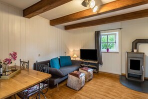 A cozy room with a wooden floor, a sofa, a TV, a fireplace, and a window with a view of greenery.