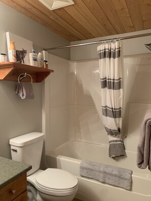 Combined shower/bathtub, hair dryer, towels, soap - Big White Condo perfect for an amazing getaway Winter or Summer! (Beaverdell)