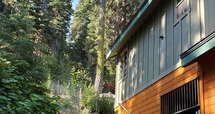 Donner Lake Studio Apt. FOREST ENVELOPED (quiet). Lake across street. PETS.