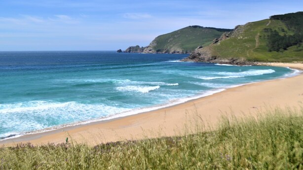Une plage côtière avec un rivage sablonneux, des dunes herbeuses et un ciel bleu dégagé.