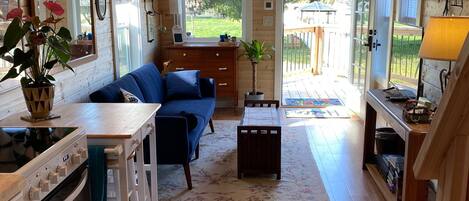 Smart TV, DVD player, video library