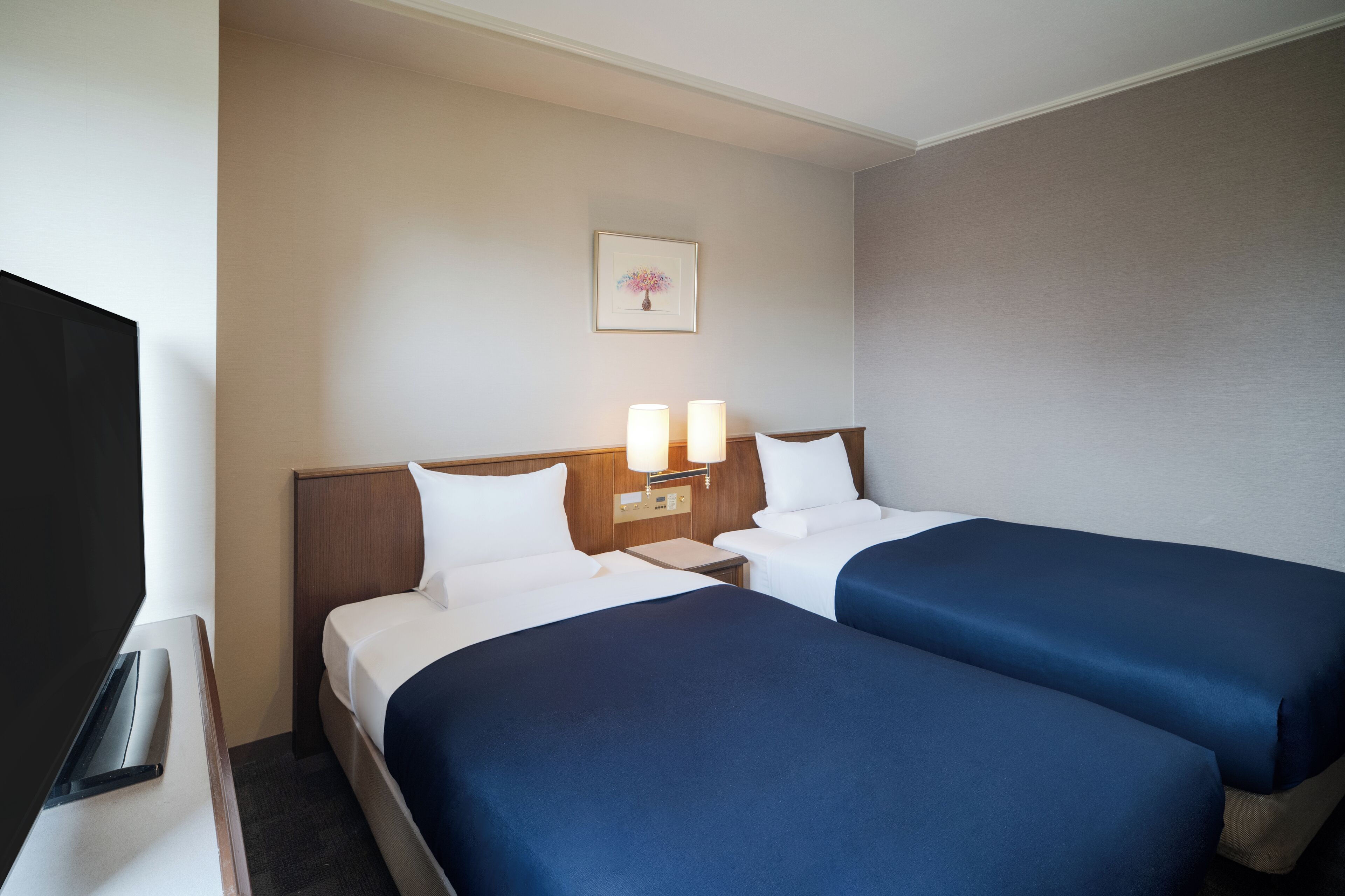 Down duvets, in-room safe, desk, blackout curtains