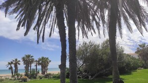 Eine Rasenfläche mit Palmen und Blick auf den Strand.