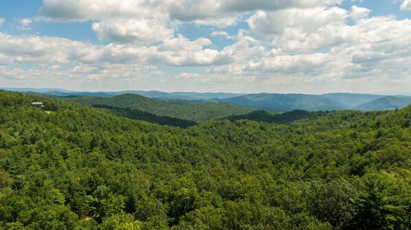 A forested mountain landscape with a cabin.