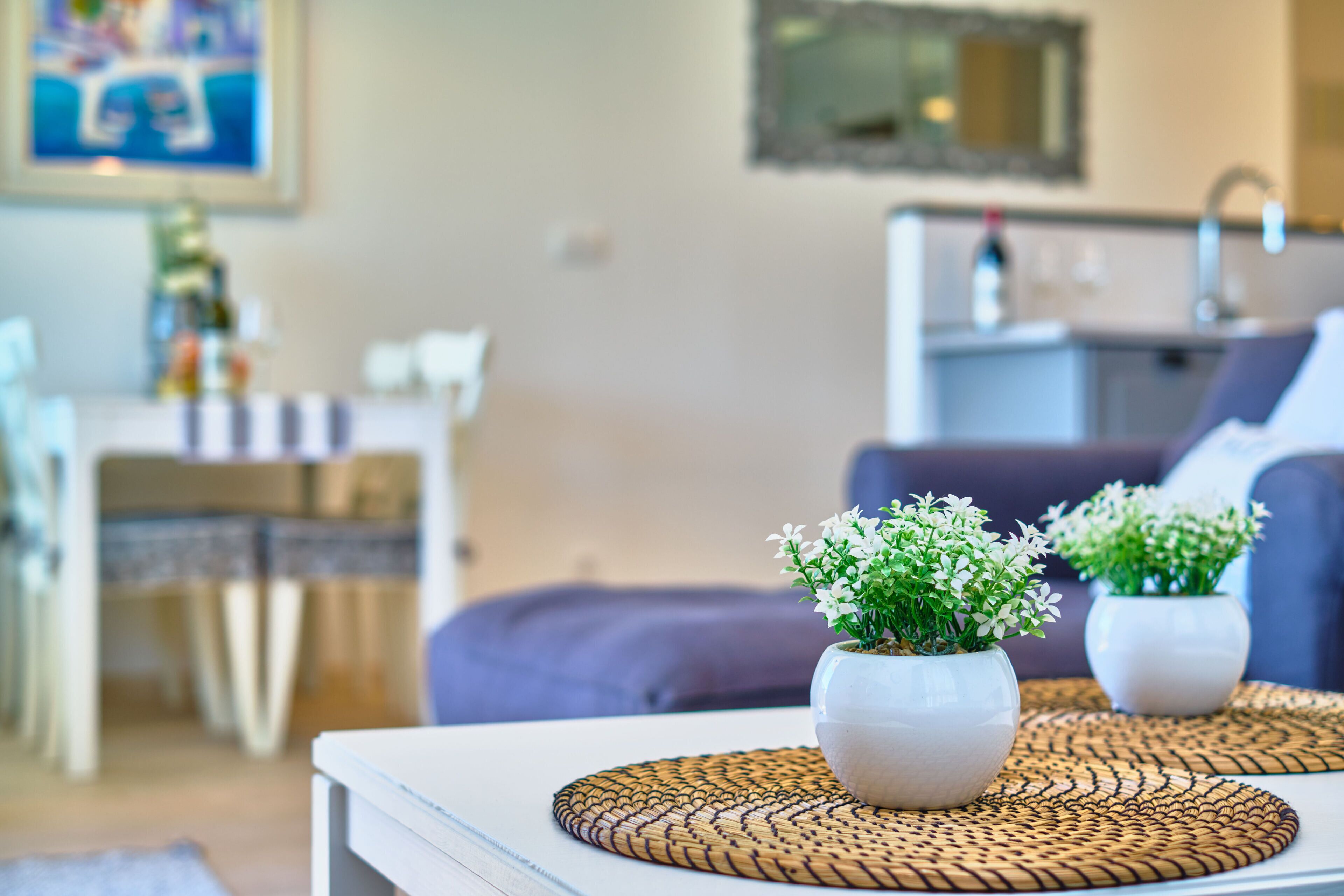Luxury Apartment | Living area | LED TV