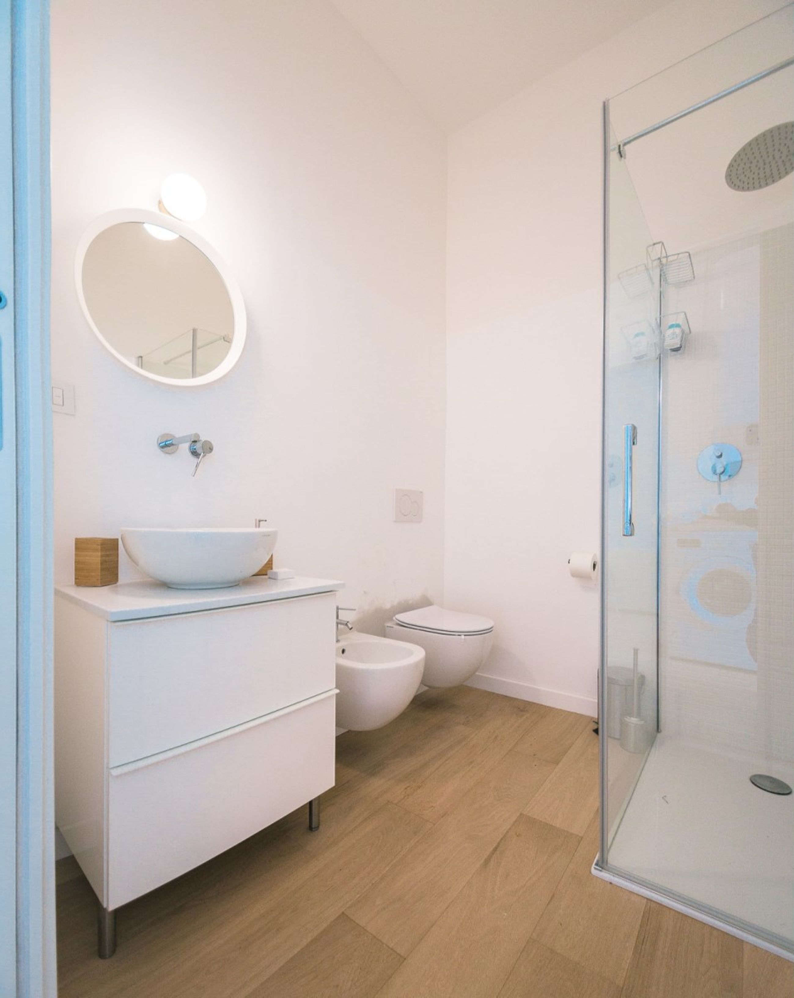 Shower, hair dryer, bidet, toilet paper