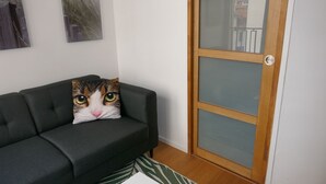 A living room with a black sofa, a wooden door with glass panels, and a green patterned rug. - T1 Parking Inclus, Hyper Centre, Mais Très Calme (Pau)