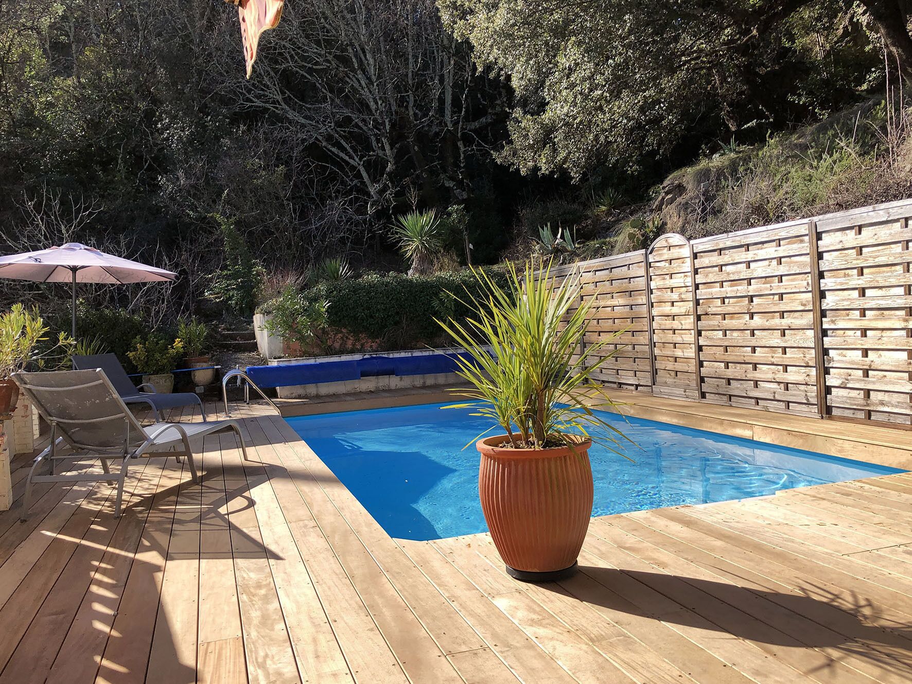 A wooden deck with a pool, lounge chairs, and a potted plant.