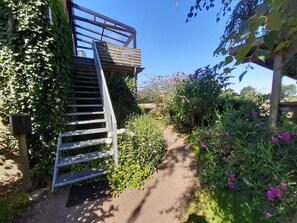 Unclassified image, 3 of 13, button