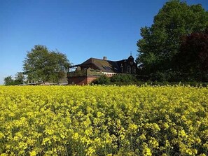 Photo non classée, 2 sur 13, bouton