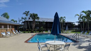 Zona de piscina con sillas de descanso y sombrillas, rodeada de palmeras y edificios.