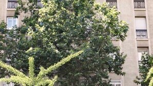 Um edifício com várias andares, varandas e janelas.