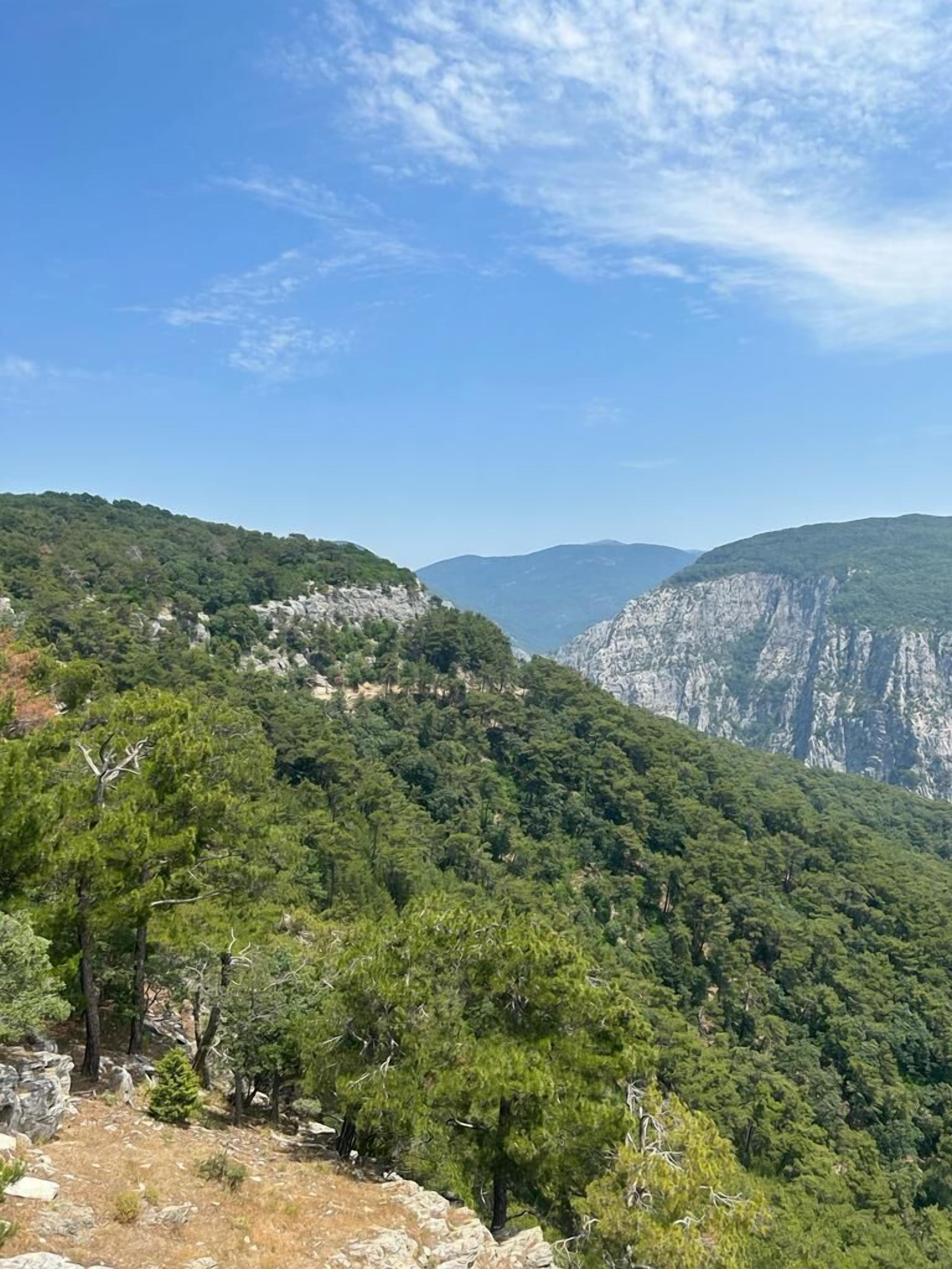 A mountainous landscape with dense green forests and rocky outcrops.
