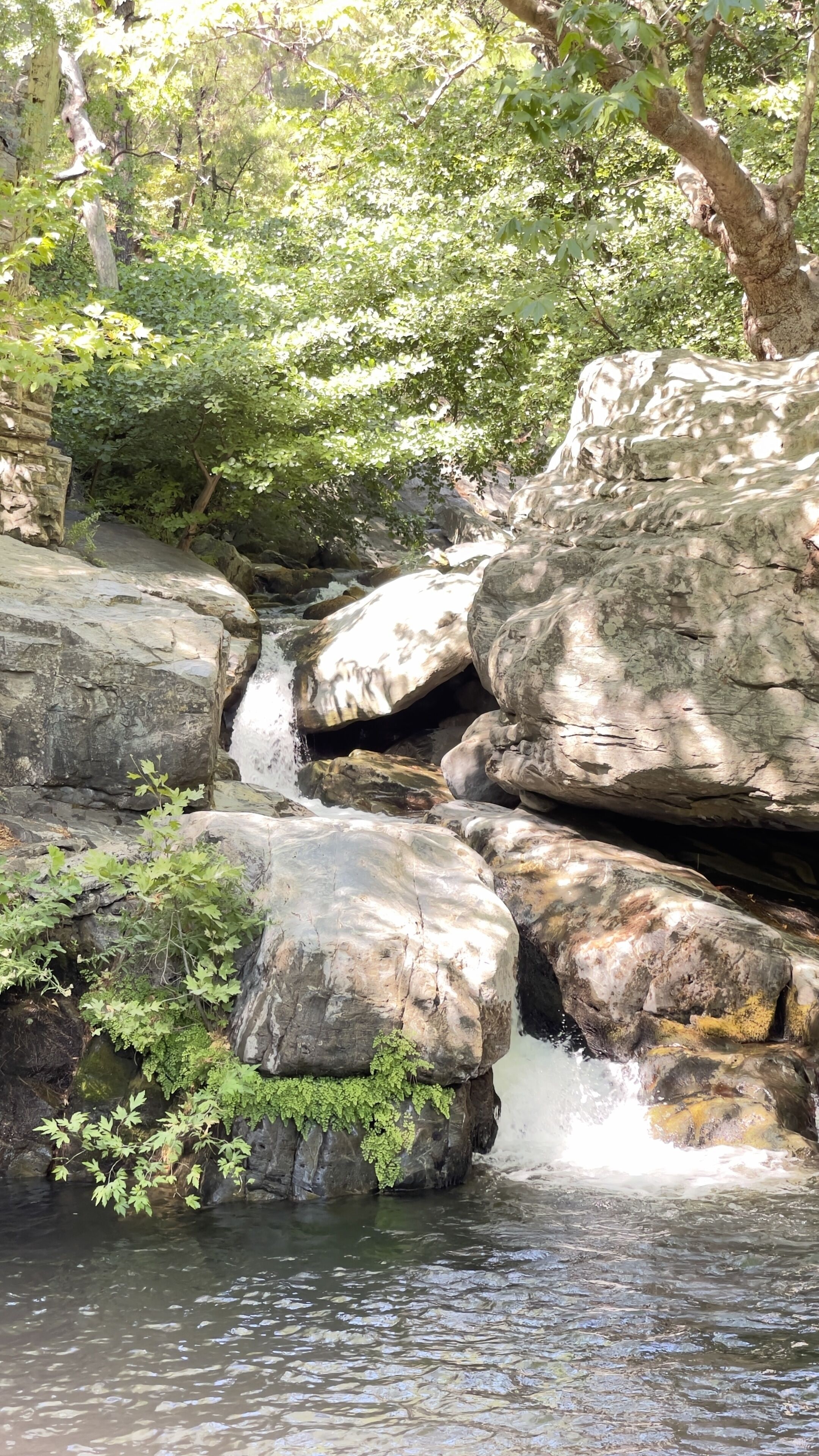 Formación rocosa natural con una cascada pequeña en un área boscosa.