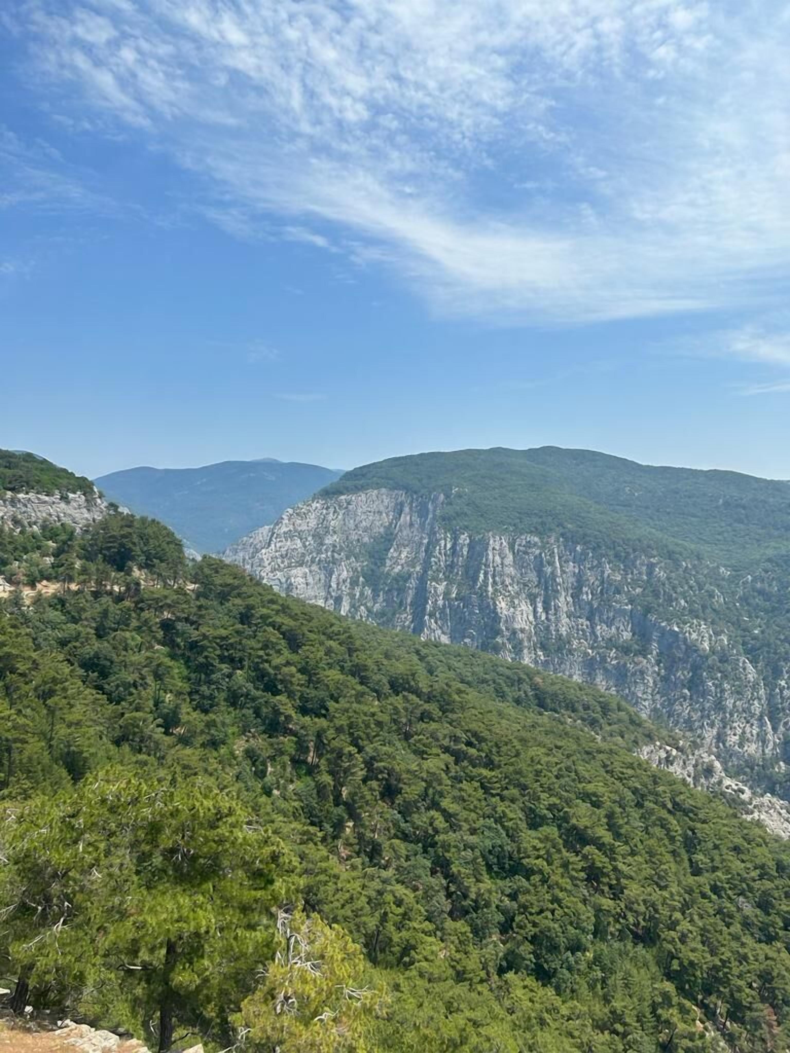 Un paisaje montañoso con bosques verdes y densos y acantilados rocosos bajo un cielo despejado.