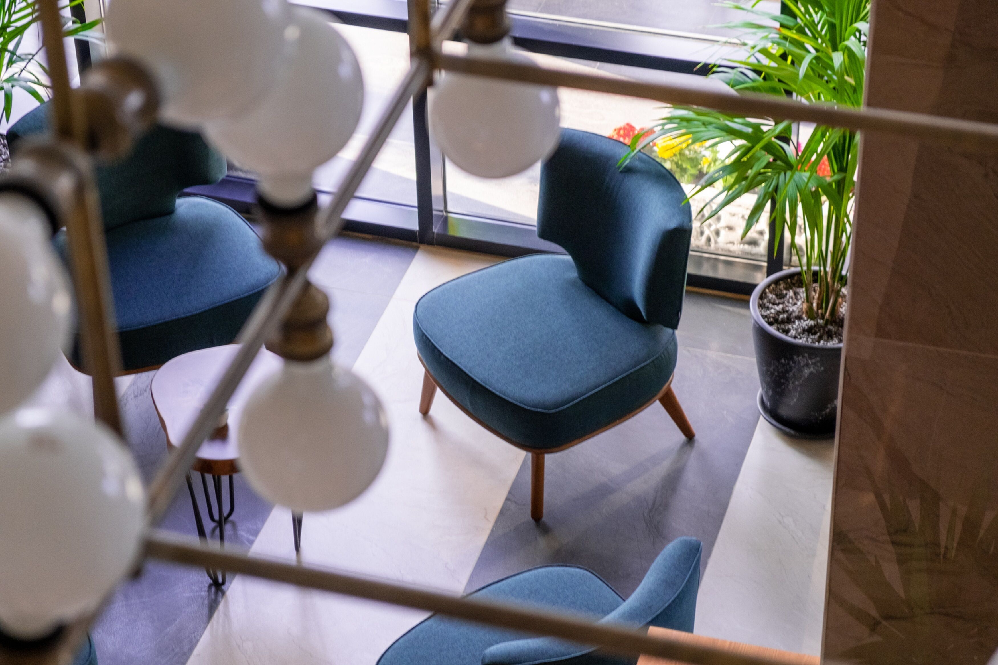 A modern interior with a blue sofa, a potted plant, and a hanging light fixture.