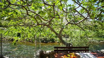 House, 1 Queen Bed with Sofa bed | Property grounds