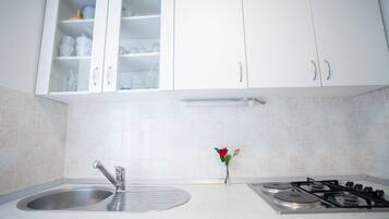 House, 1 Queen Bed with Sofa bed | Private kitchen | Fridge, microwave, stovetop, electric kettle