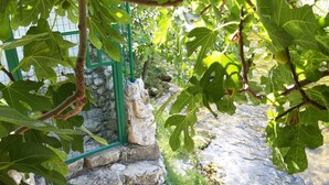Una escalera de piedra que conduce a un muro de piedra, rodeada de follaje verde.