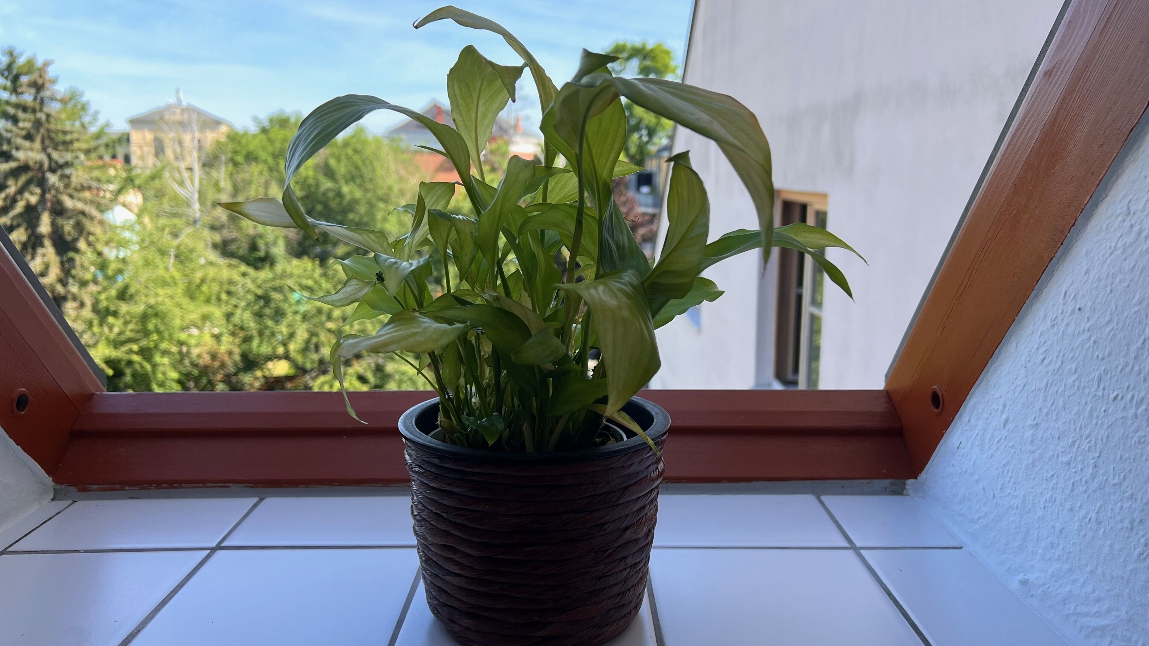 Appartamento panoramico, bagno privato, vista città (Am Jacobsweg Wohnung 2) | Bagno