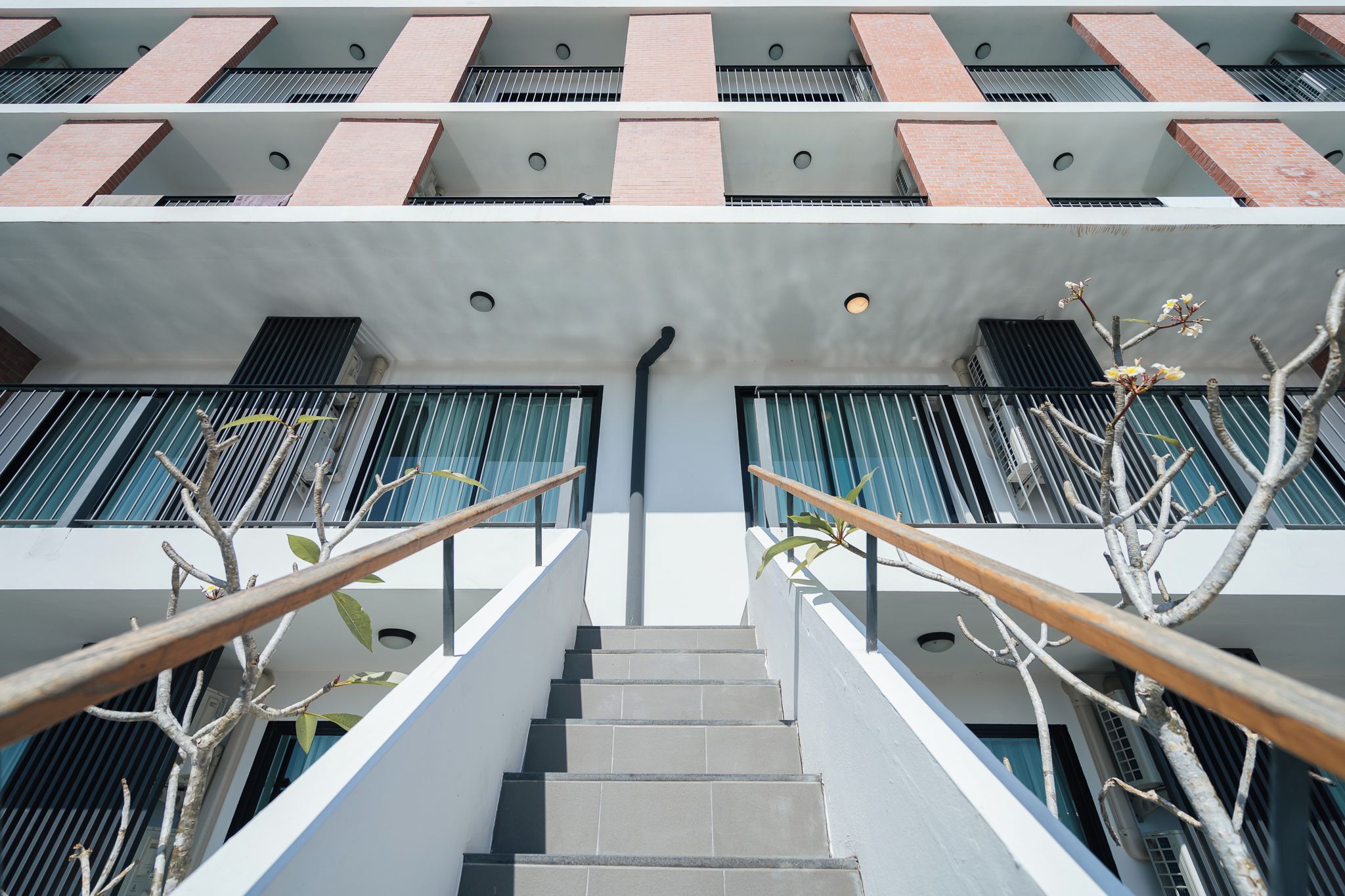 A modern building with a central staircase flanked by railings and trees.