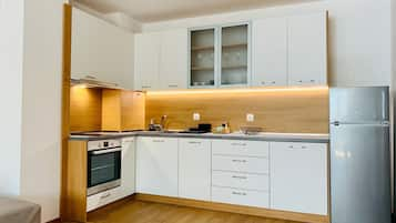 Grand Apartment | Private kitchen | Full-size fridge, microwave, oven, electric kettle