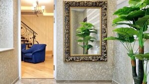 Un couloir doté d’un sol en marbre, d’un grand miroir décoratif et d’une plante en pot.