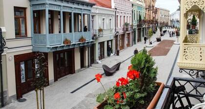 Charming house in most wanted old part of city.