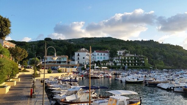 A marina with numerous boats docked, a waterfront promenade, and buildings with balconies overlooking the water.