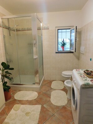Shower, bidet, towels, soap