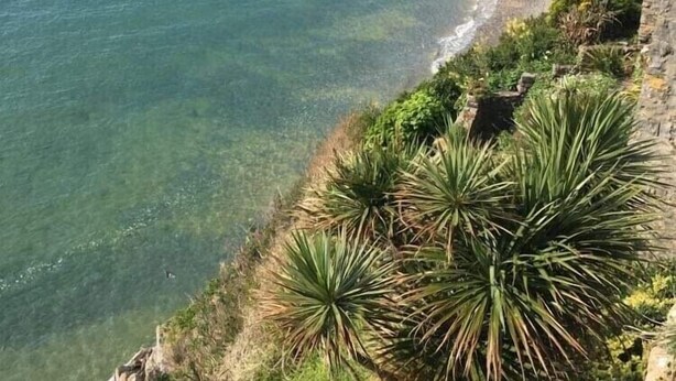 A coastal landscape with a sandy beach, clear blue waters, and green vegetation along the cliffside.