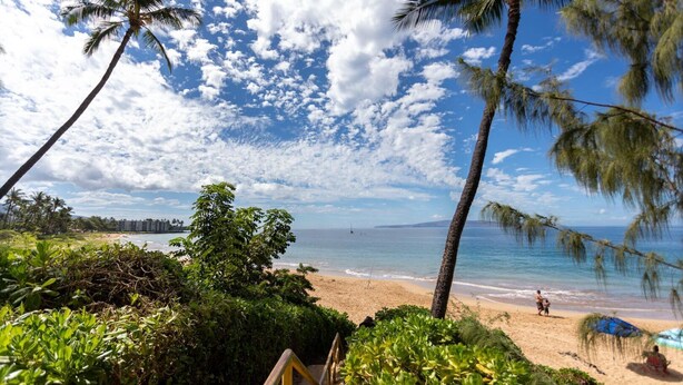 A beach with palm trees, a clear sky, and a view of the ocean. - Beach theme, private Lanai, pools and tennis courts (Kihei)