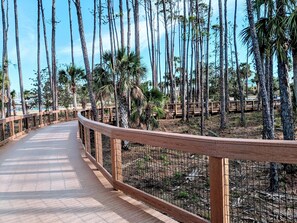 Property grounds - Pet Friendly, Gulf View 3 Bedroom, Pool & Tennis ~ Barrier Dunes 493 (Cape San Blas)