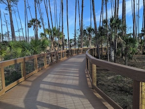 Property grounds - Pet Friendly, Gulf View 3 Bedroom, Pool & Tennis ~ Barrier Dunes 493 (Cape San Blas)